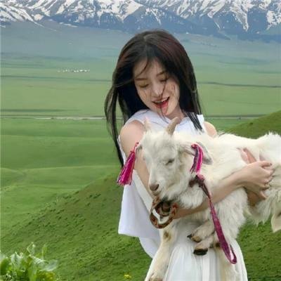 凤凰四重奏粤语